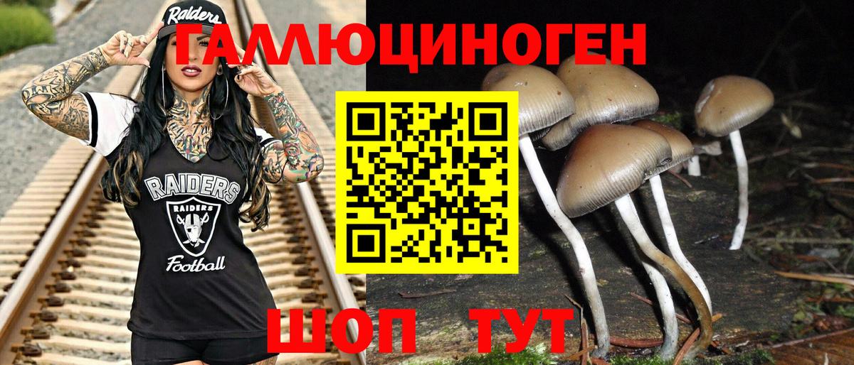 Галлюциногенные грибы GOLDEN TEACHER Железноводск