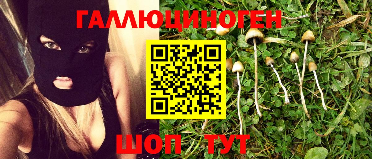 Железноводск  Галлюциногенные грибы MAGIC MUSHROOMS  даркнет сайт  Вход с VPN 